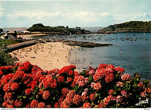 Carte postale - -,