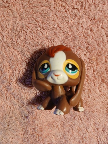 Authentic lps petshop 849 - lps,