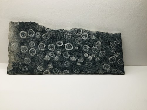 Exceptionnelle plaque diorite - exceptionnelle,