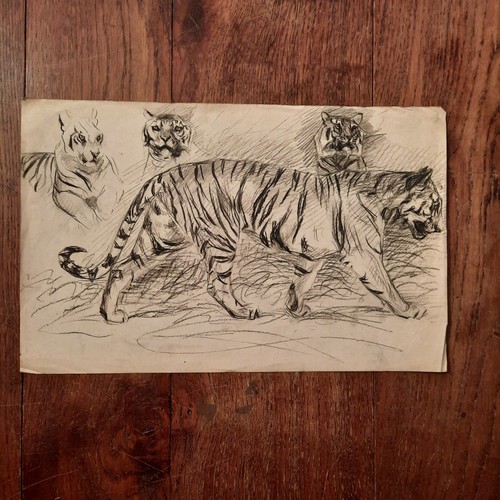 Dessin ancien animalier fond - dessin,
