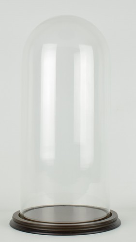 Boîte vitrine dôme verre - boîte,