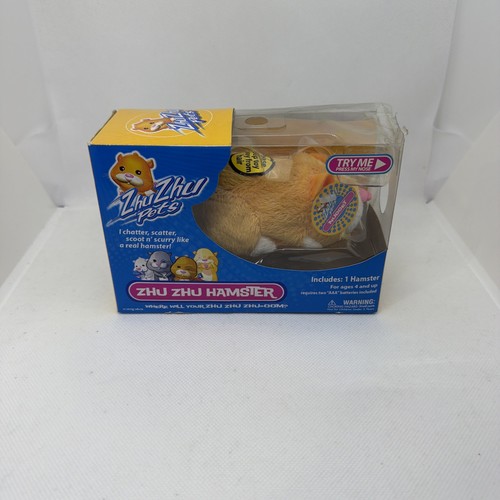 Zhu pets hamster - zhu,