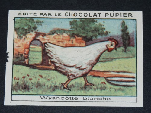 Chromo chocolat pupier 1930 - chromo,