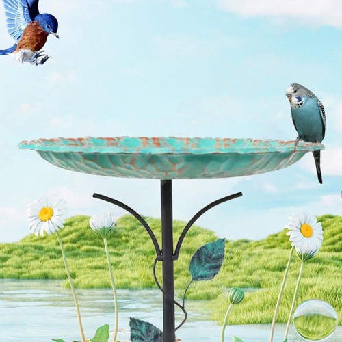 Mangeoire oiseaux avec - mangeoire, à