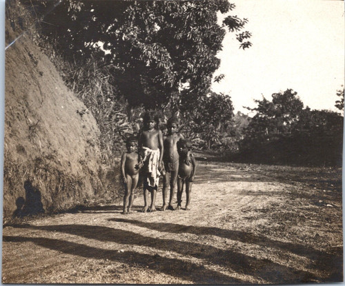 Ceylan kandy - (sri,