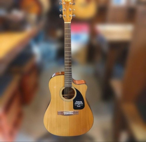 Guitare acoustique fender - guitare,