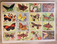 BON POINT - PLANCHE 16 IMAGES CHROMOS - Papillons - 22 - ANCIEN - VINTAGE