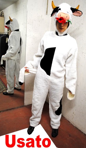 Robe costume carnaval - robe,,