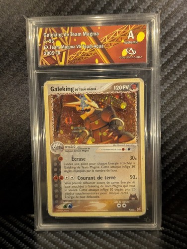 Galeking team magma - team,