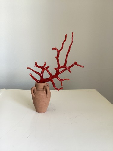 Jolie branche corail de - jolie,
