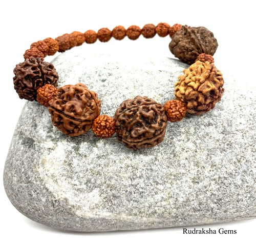 Rudraksha rudraksh 5 6 - rudraksha, 4