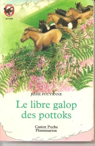 Libre galop des pottoks - le,