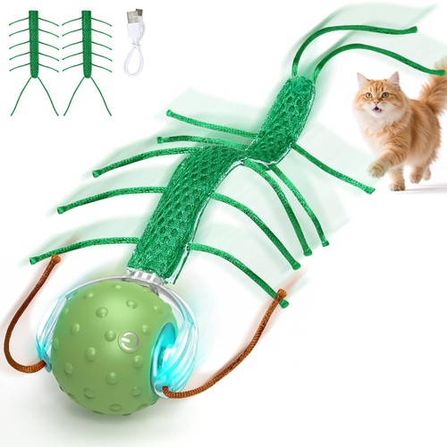 Interactif jouet pour chats - pour,