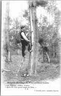 Dans les landes - les,