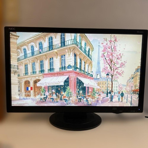 Moniteur nec as230wg 23 - pc,