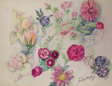 Ancienne planche dessins - ancienne,