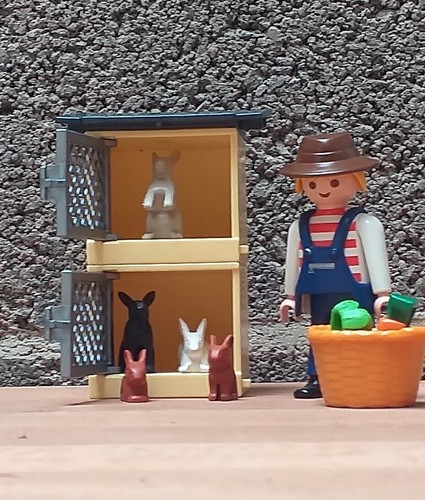 Playmobil fermier avec - -,