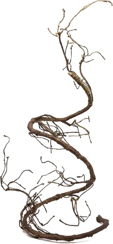 Reptile ultimate vine - reptile,
