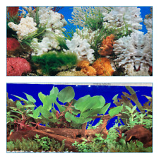 poster fond aquarium