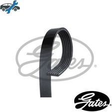VRIBBED BELT 6PK1033 FOR VW