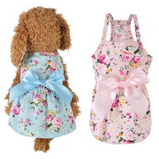 Robe De Chien D'été