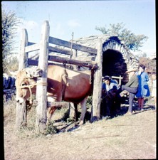 LOZERE c. 1960 - 3 Ektachromes