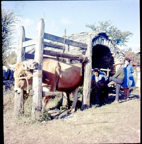Lozere 1960 3 ektachromes - lozere,