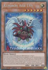 Yu-Gi-Oh! Kuriboh Ailé LV6 : SE BLTR-FR001