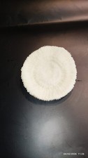 Corail Fungia Blanc