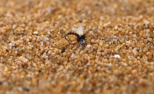 Glass bead manhattan midge fly - bead,