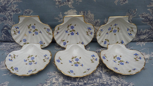 Coupelles coquille st - 6,