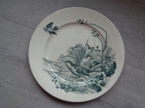 Assiette plate jules - plate, vieillard