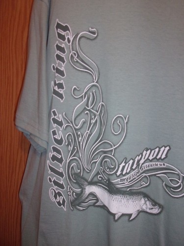 Tarpon megalops atlanticus - tarpon,