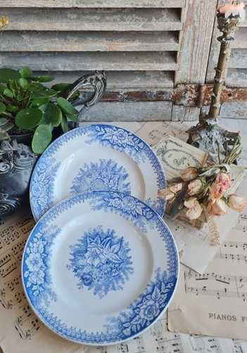 Anciennes assiettes plates - 2,