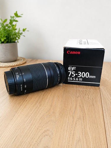 Canon 300mm 5 - canon, f/4-5.6