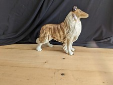 chien beswick border collie