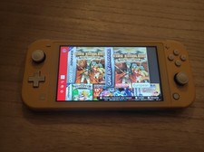 Nintendo Switch Lite Hack