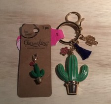 Cactus Key Chain With Matching