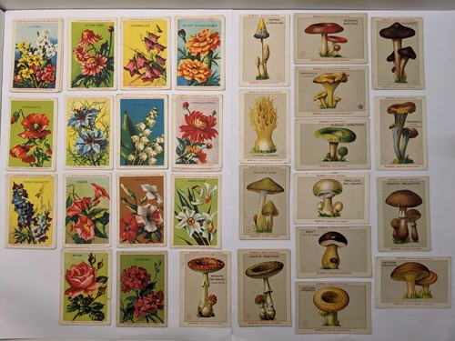 Lot anciens chromos - de,