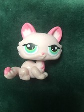 🌺Petshop Chat  SPHYNX