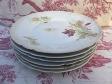 Assiette limoges paris porcelaine Art Nouveau IRIS  21,5cm de diamètre bon état