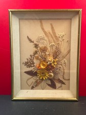 Ancien Cadre Fleurs Séchées