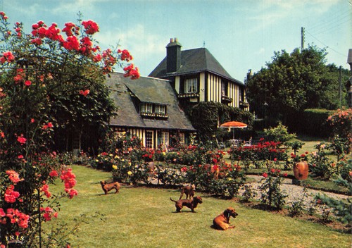 Veules les roses la - roses,
