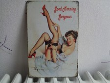 TOLE METAL PIN UP AU BAS 20 X
