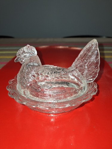 Poule verre sur son - , nid