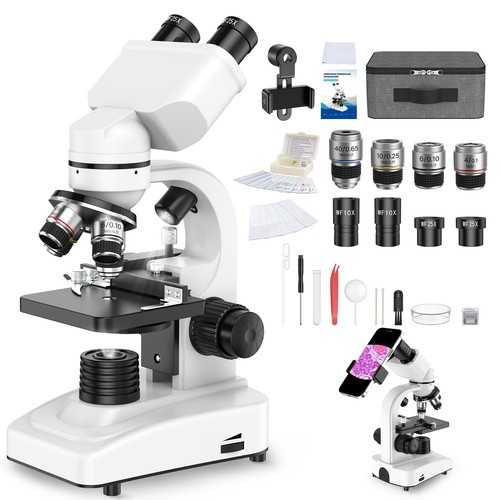 Microscope binoculaire