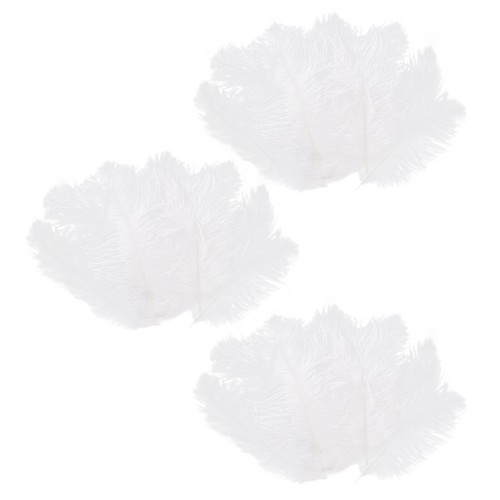 Pièces plume autruche - 30,