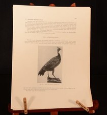 1948-9 2vol De Vogels Van Belgisch Congo En Van Ruandi-Urundi H Schouteden Birds