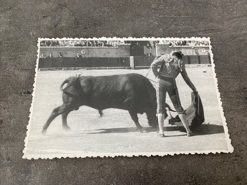 Ancienne photo toréador