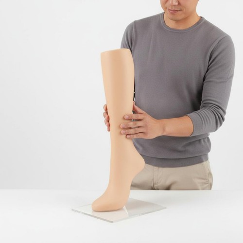 Jambes jambe mannequin sans - jambes,